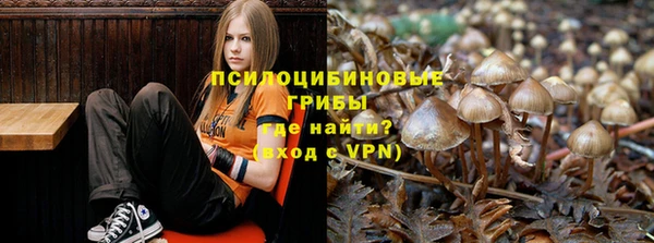 герыч Магас
