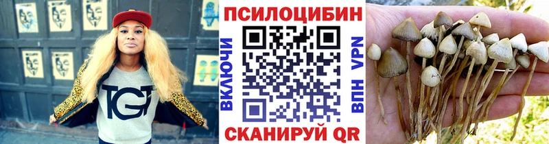 Псилоцибиновые грибы мицелий  Купить закладки  Барыш 